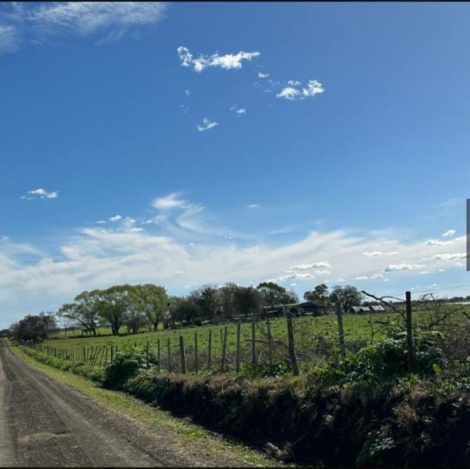VENTA 23 has Gral Madariaga, con ribera a la laguna el Carbon, distancia 5km de autovia 56 ,